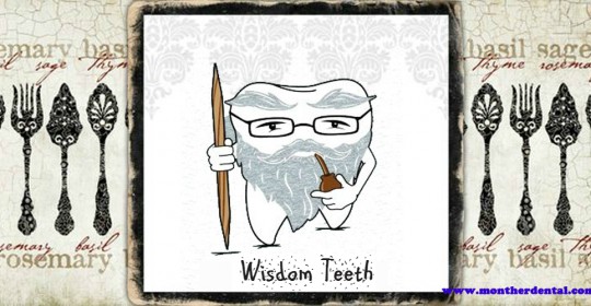 Why is it called Wisdom Teeth?